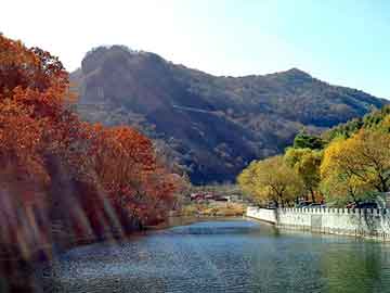 新澳天天开奖资料大全旅游团，深圳手机充值卡代理